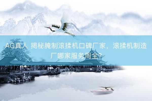 AG真人 揭秘腌制滚揉机口碑厂家，滚揉机制造厂哪家服务周全？