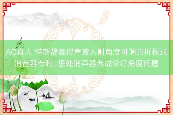 AG真人 特斯静赢得声波入射角度可调的折板式消音器专利， 惩处消声器弗成诊疗角度问题