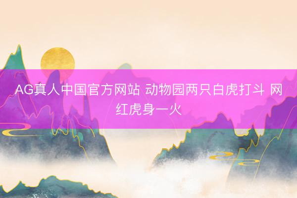 AG真人中国官方网站 动物园两只白虎打斗 网红虎身一火